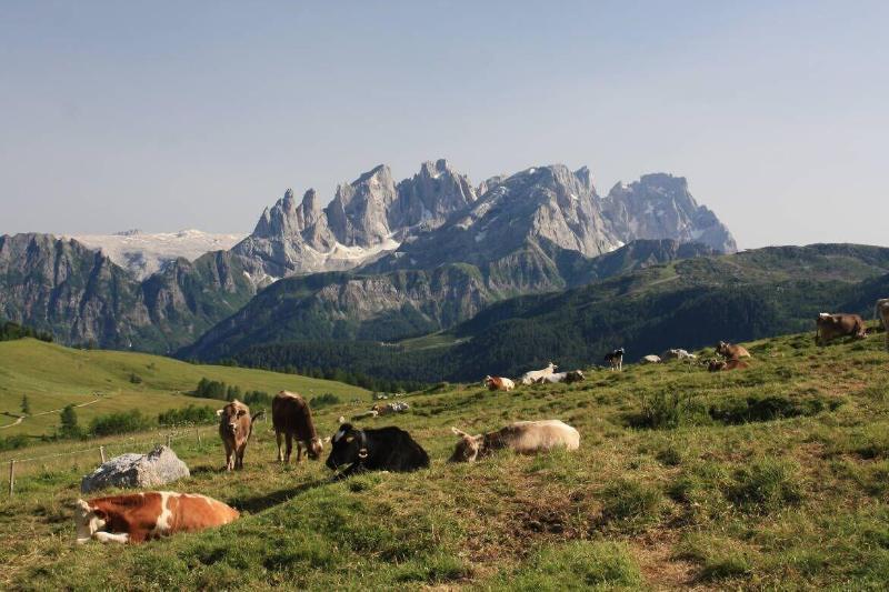 Hotel Stella Alpina Falcade Buitenkant foto