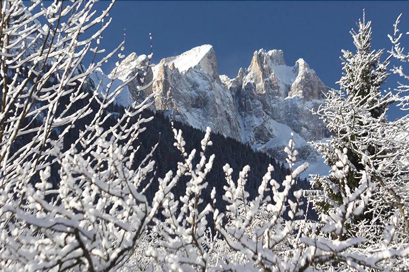 Hotel Stella Alpina Falcade Buitenkant foto
