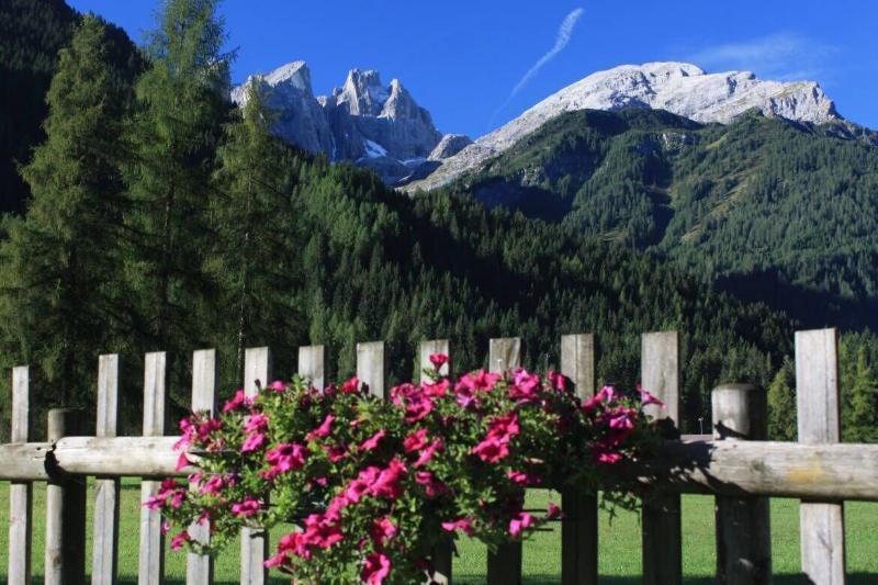 Hotel Stella Alpina Falcade Buitenkant foto