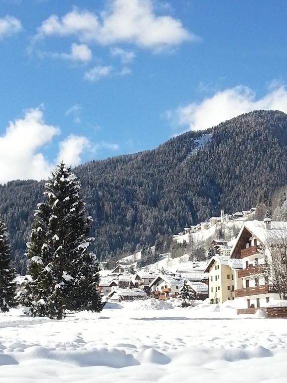Hotel Stella Alpina Falcade Buitenkant foto